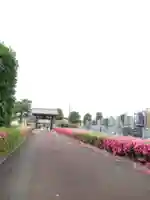 真光寺(千葉県)