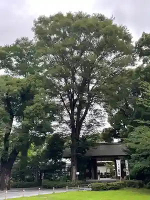 阿佐ヶ谷神明宮のその他建物