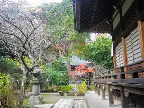 安國論寺（安国論寺）の庭園