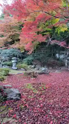 清滝寺徳源院(滋賀県)