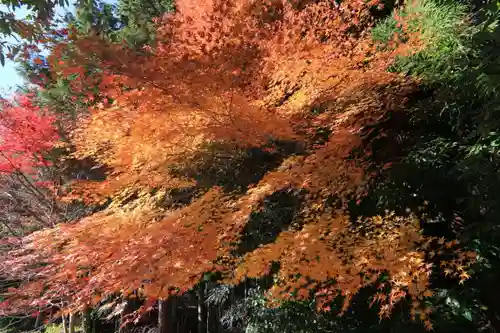滑川神社 - 仕事と子どもの守り神の自然
