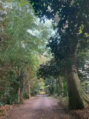 子安神社(茨城県)