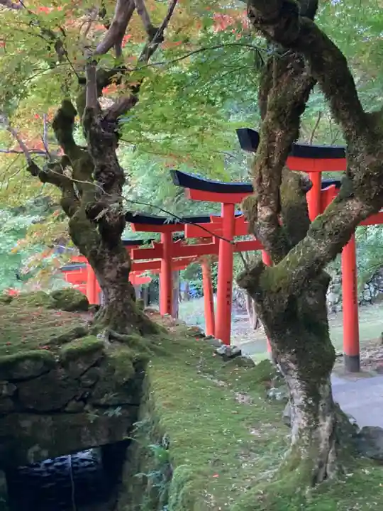 有子山稲荷神社(兵庫県)