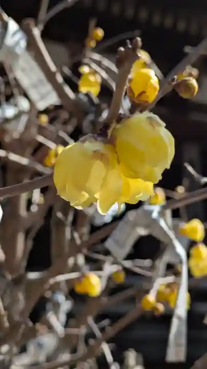 長命寺(滋賀県)