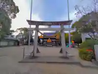 諏訪神社(今川町)の鳥居