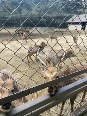 鹿島神宮(茨城県)
