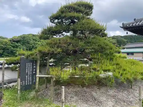 種間寺(高知県)