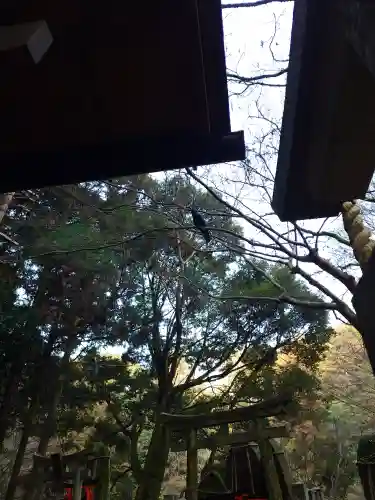 伏見稲荷大社　御膳谷奉拝所(京都府)