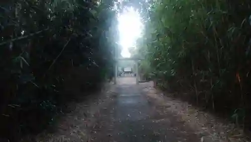 青龍神社の建物その他