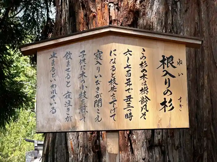 諏訪大社下社秋宮(長野県)
