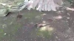 酒門神社の建物その他