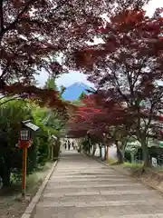 新倉富士浅間神社(山梨県)