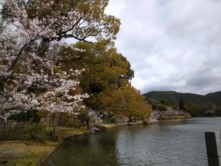 大覚寺(京都府)