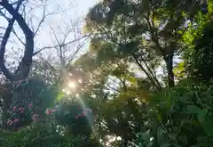 神明社（国府宮神明社）の自然