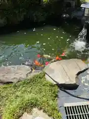 永源寺(茨城県)