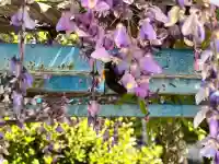 天満宮中之社(廃神社・石碑あり)(大阪府)