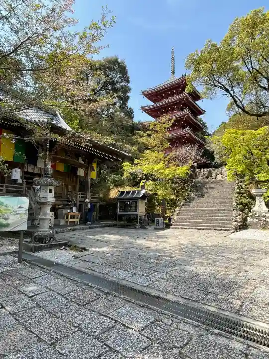 竹林寺(高知県)