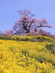 阿邪訶根神社(福島県)