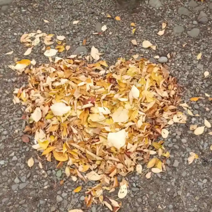 彌彦神社 (伊夜日子神社)(北海道)