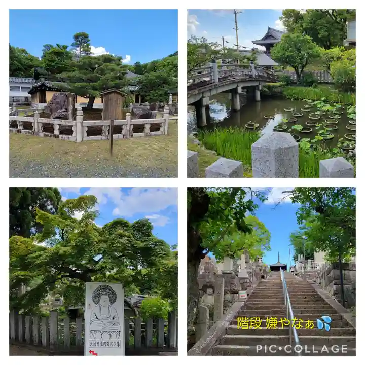くろ谷 金戒光明寺(京都府)