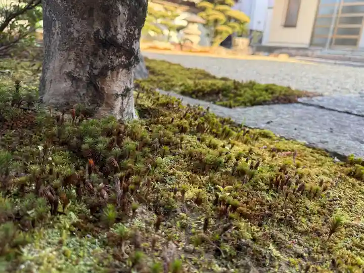 西方山極楽寺(岐阜県)