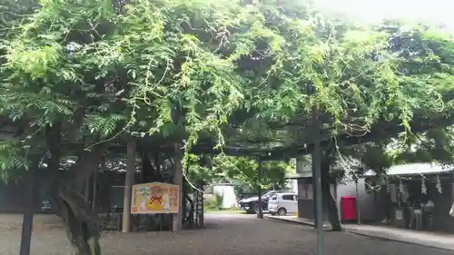 國領神社の自然