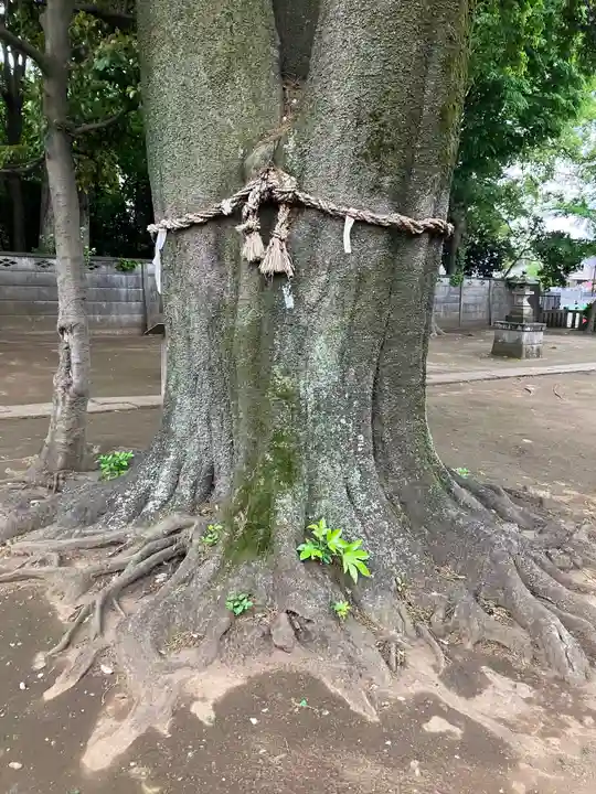 和田稲荷神社(東京都)