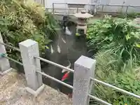 善妙寺(福井県)