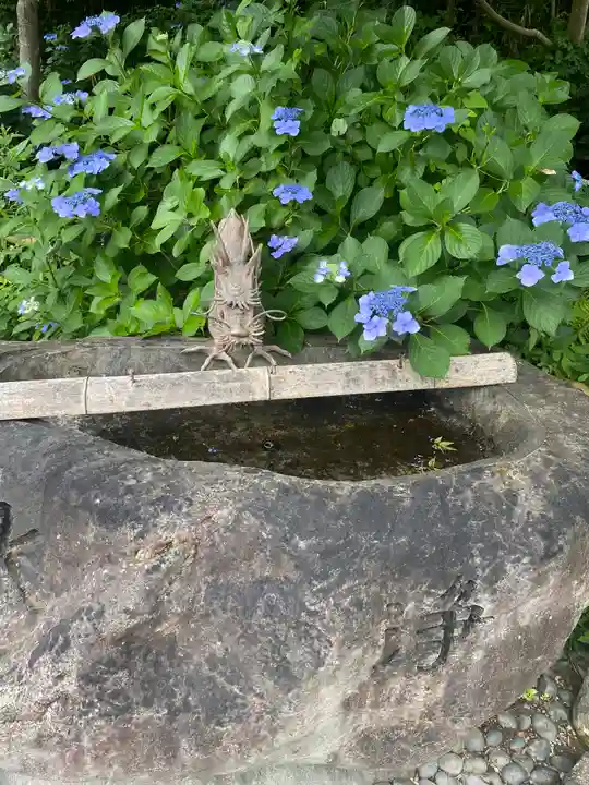 白毫寺(奈良県)