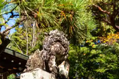 八大神社(京都府)