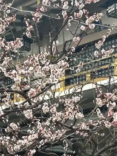 湯島天満宮(東京都)