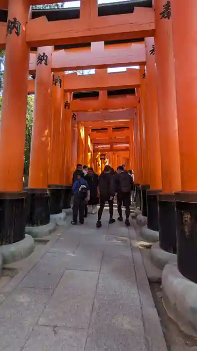 伏見稲荷大社(京都府)