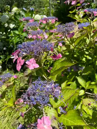 極楽寺(静岡県)