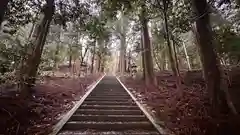 大森神社(兵庫県)