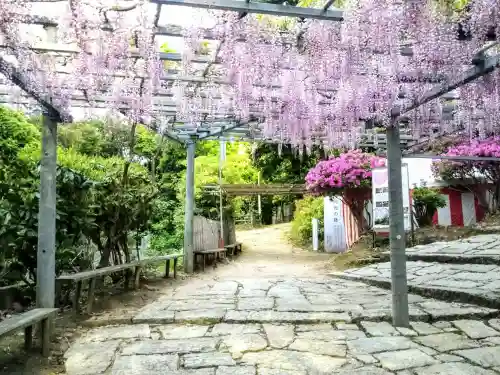 阿智神社の自然