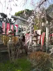 花山稲荷神社の自然