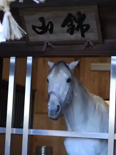多度大社の動物