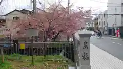 晴明神社の周辺