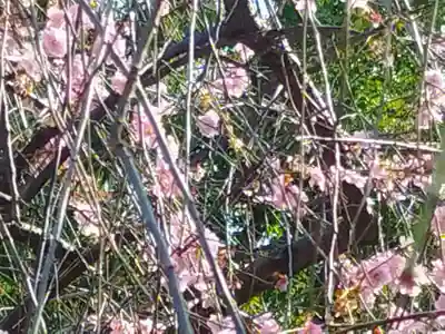 屯倉神社(大阪府)