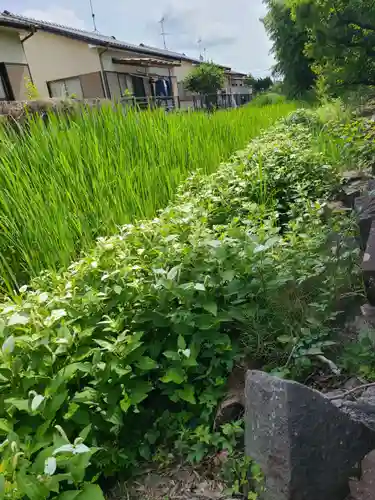 牛嶋天満宮の自然