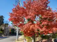 開成山大神宮の自然