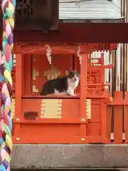 水野社の動物