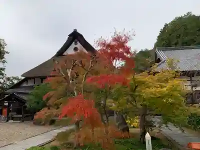 安国寺(京都府)