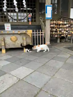 今市報徳二宮神社(栃木県)