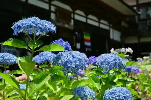 光照寺(新潟県)