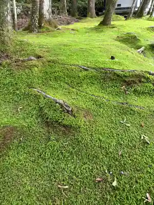 慈雲寺（並び地蔵　化け地蔵）(栃木県)