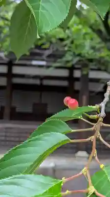 本法寺(京都府)