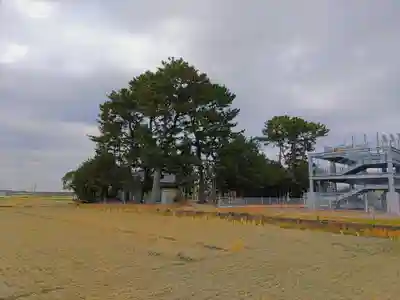 磤玖娜社（奥田神社）の自然
