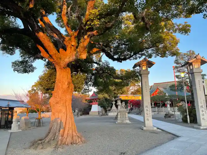 成田山大阪別院 明王院の自然