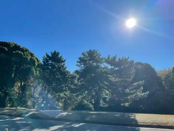 明治神宮(東京都)